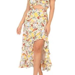 Petal and Pup two piece skirt and top Beautiful XS EUC